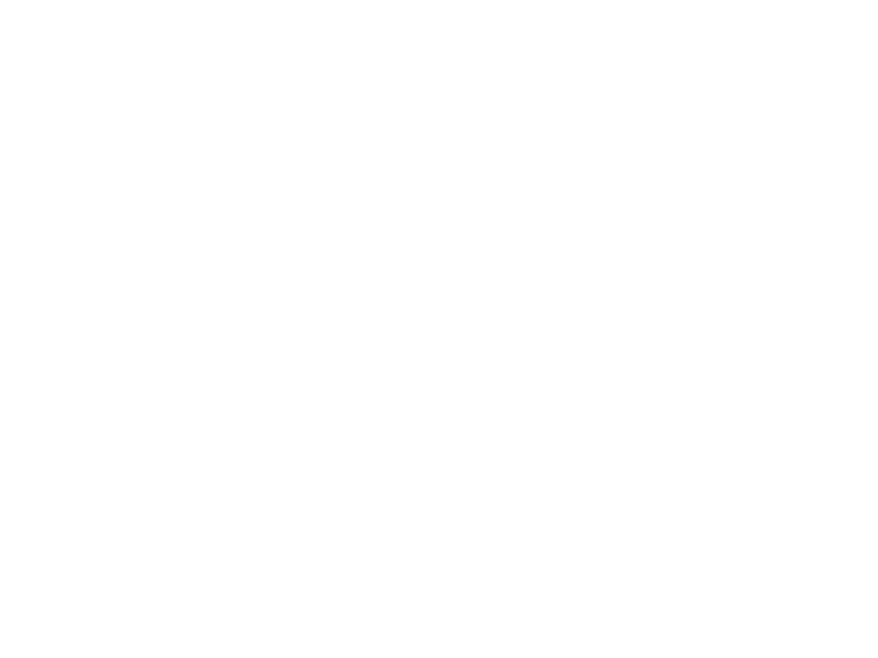 Stelton Logo 800 X600px Wht