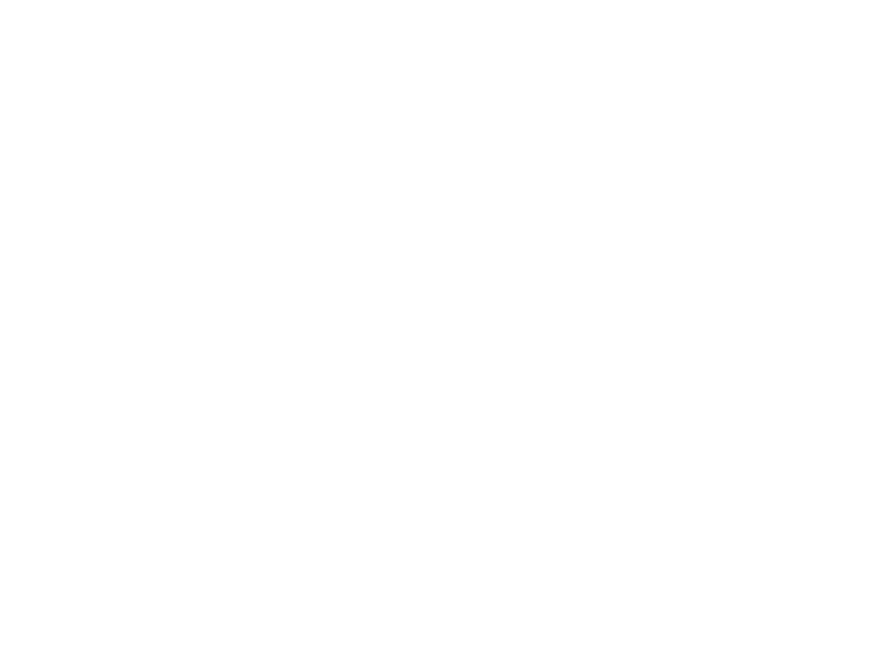 Malfy Gin Logo 800 X600px Wht