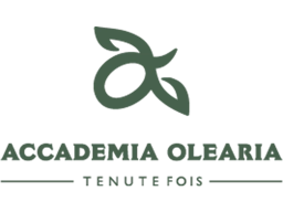 Accademia Olearia Logo 800 X600px Clr