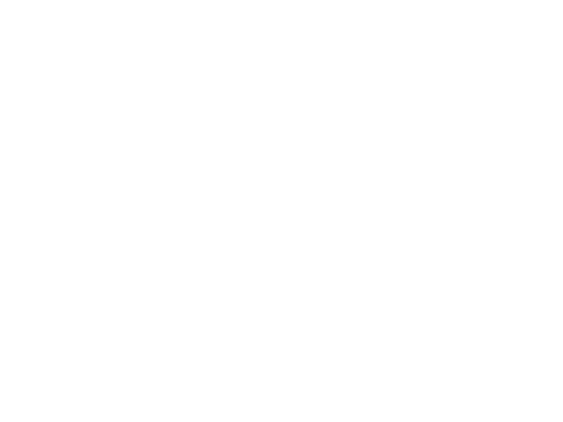Schoppe Braeu Logo 800 X600px Wht