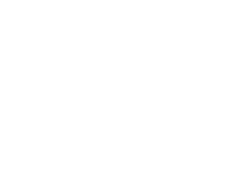 Amt Gastroguss Logo 800 X600px Wht