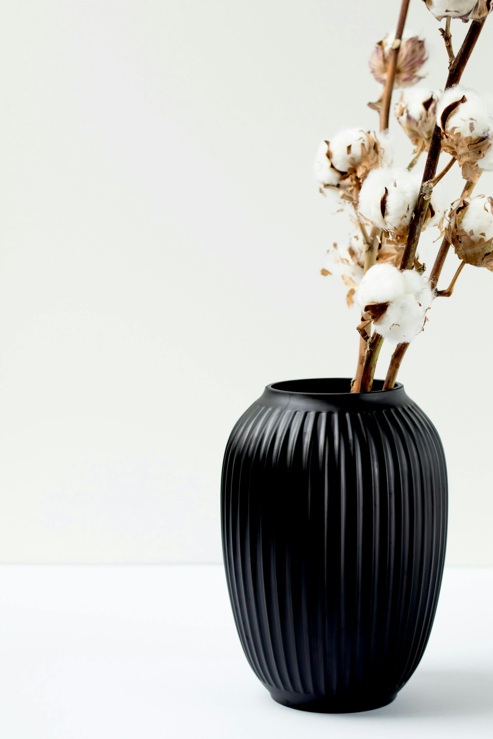 Schwarze Vase mit Baumwollblume auf weißem Hintergrund