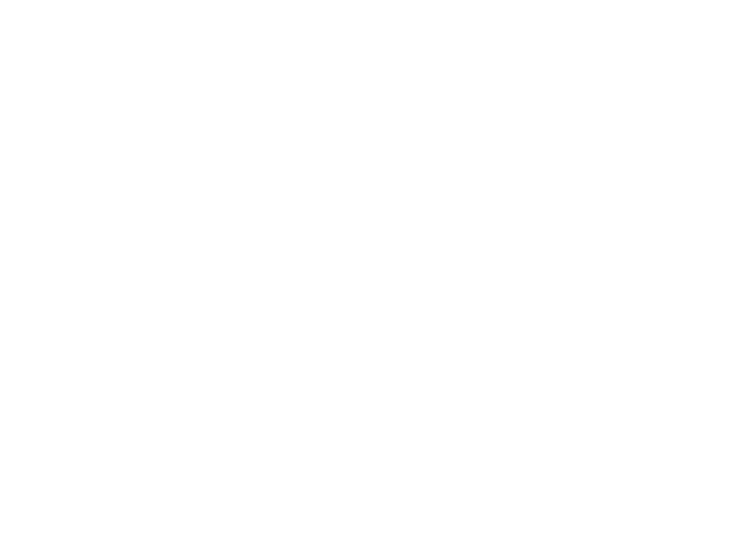 Hausbrandt Logo 800 X600px Wht
