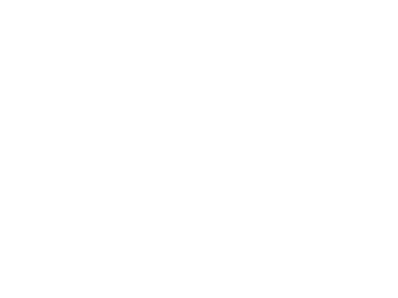Alfa Grill Logo 800 X600px Wht