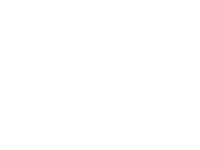Brauerei Lindemans Logo 800 X600px Wht