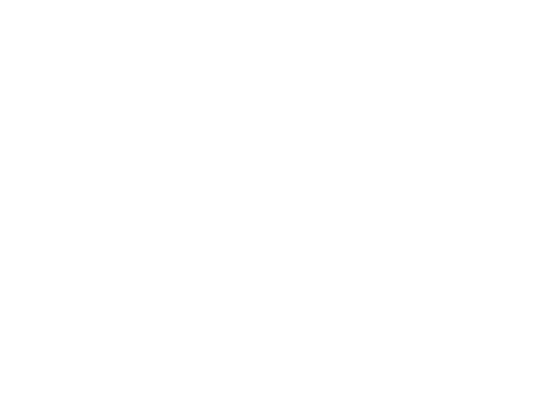 Brauerei Fuerst Wlacek Logo 800 X600px Wht