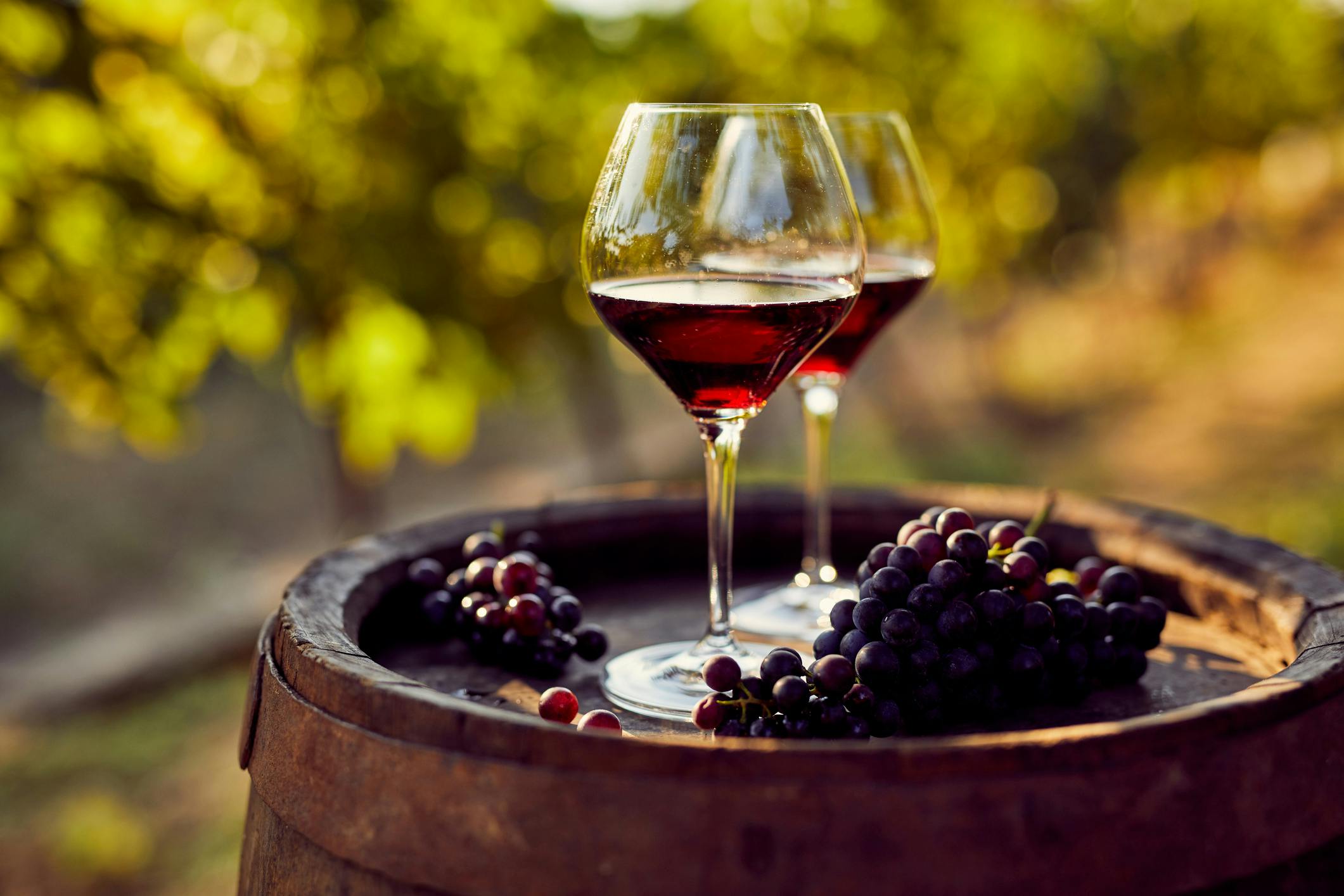 Zwei Glaeser Rotwein Im Weinberg