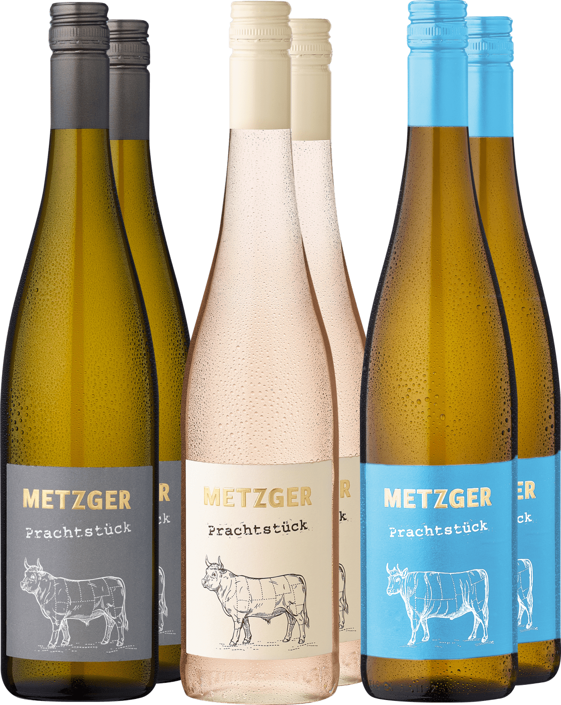 Weingut Metzger in WeißProbierpaket