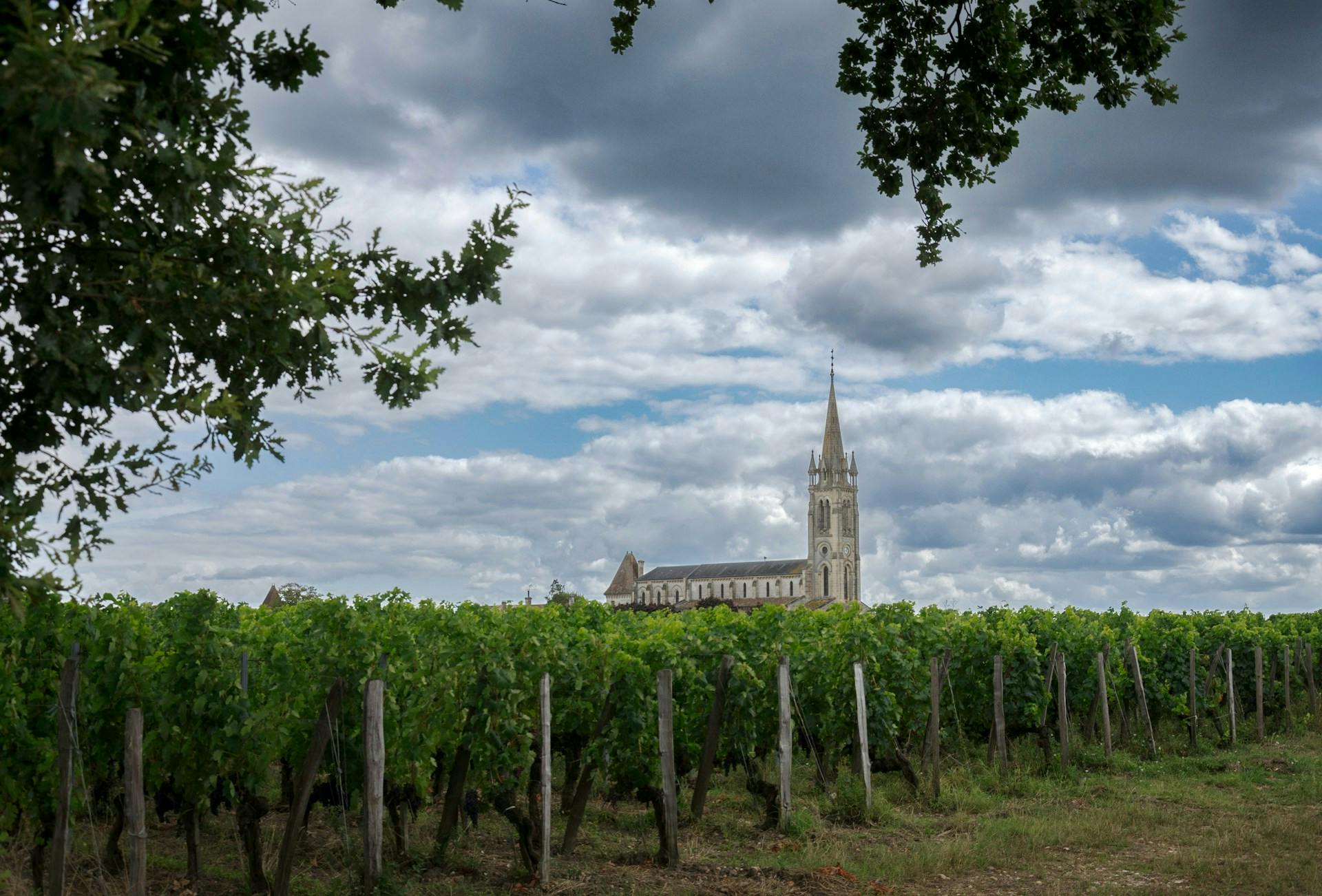 Weinberg mit Kirche in Pomerol, Frankreich